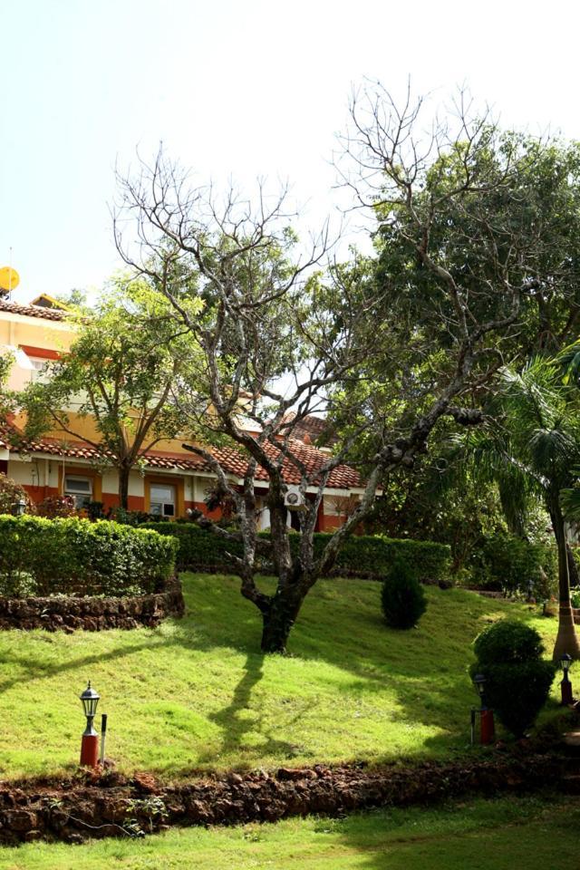 Nirvana Hermitage Анжуна Экстерьер фото